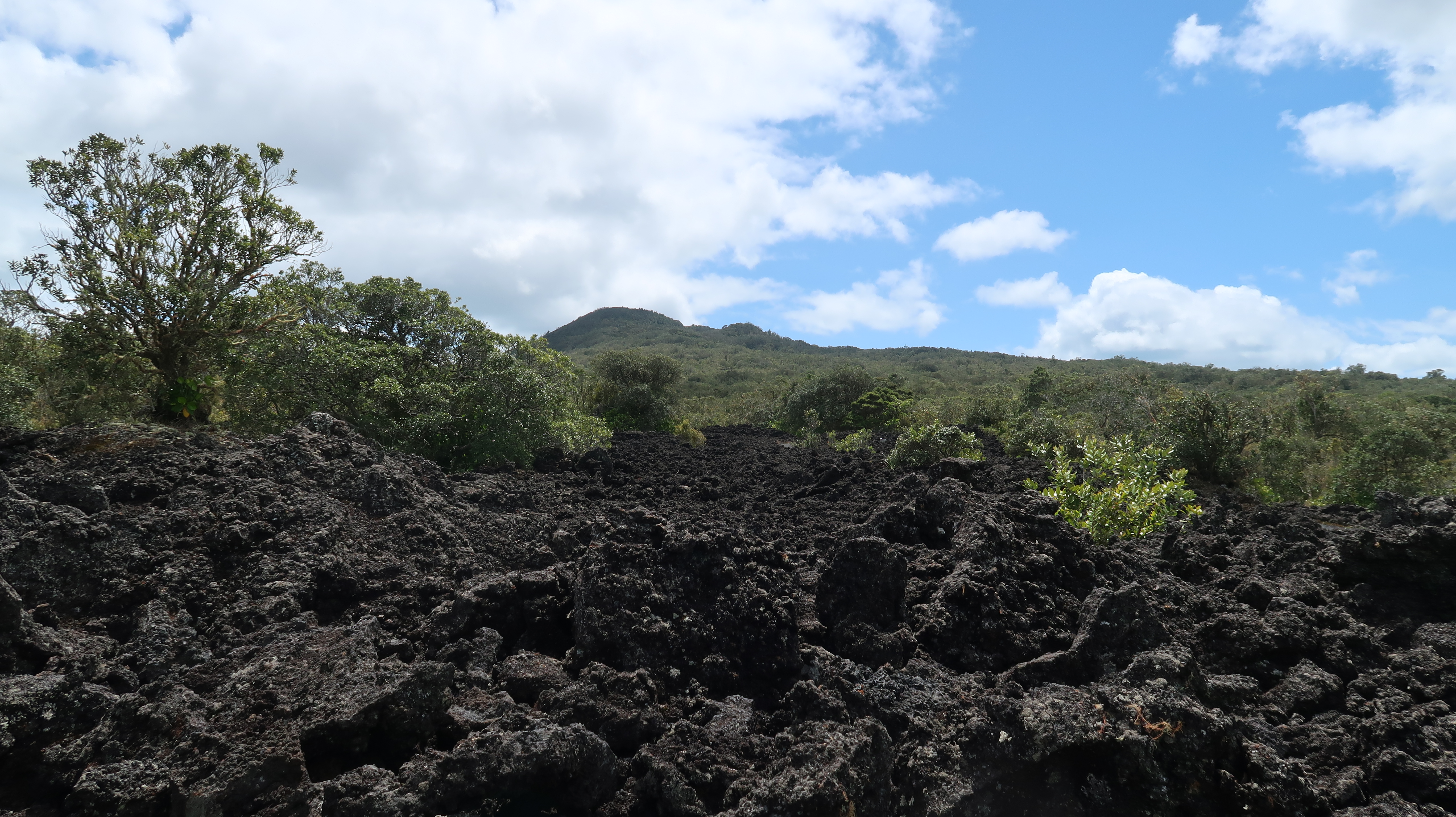 Rangitoto Island